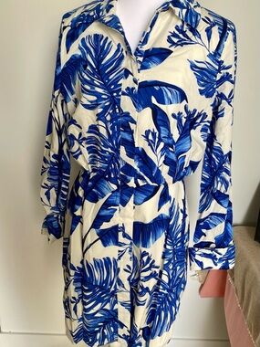 BCBG White and Blue Floral Button-Up Dress